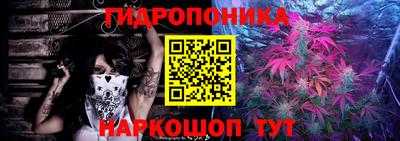 бошки Новодвинск