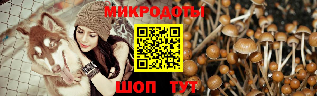 Галлюциногенные грибы прущие грибы Советская Гавань